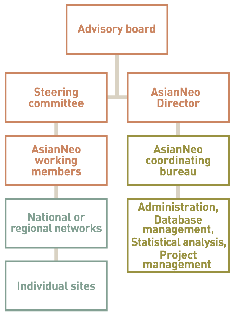 asian-neo organization chart